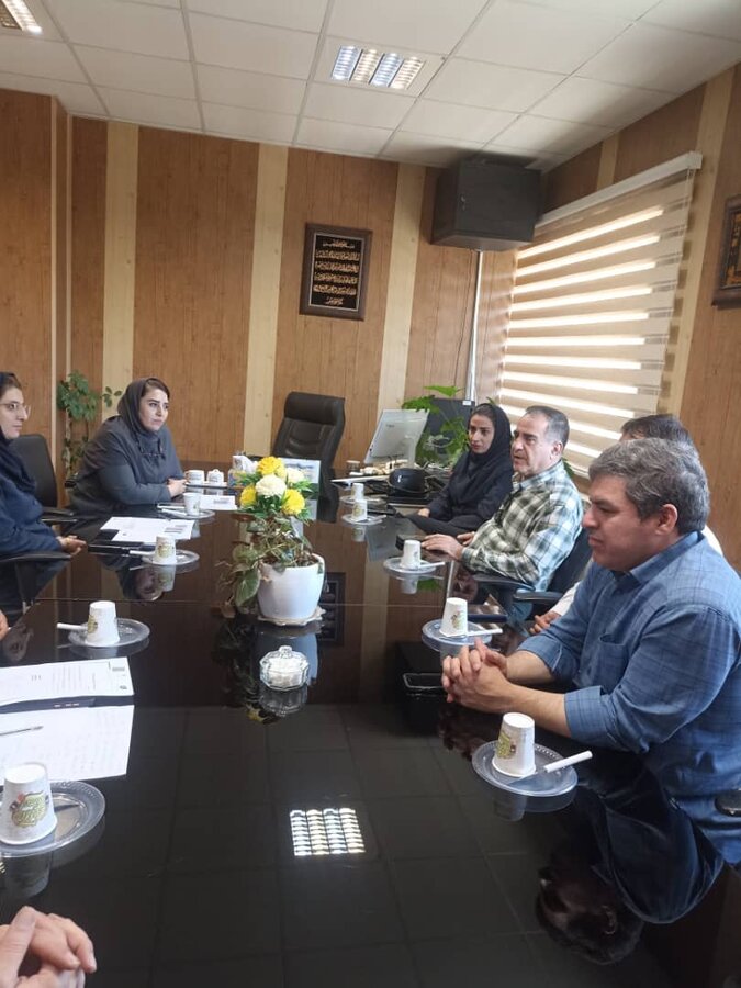 کارگروه مشترک بهزیستی و فنی و حرفهای کردستان برای استانداردسازی مشاغل معلولان برگزار شد