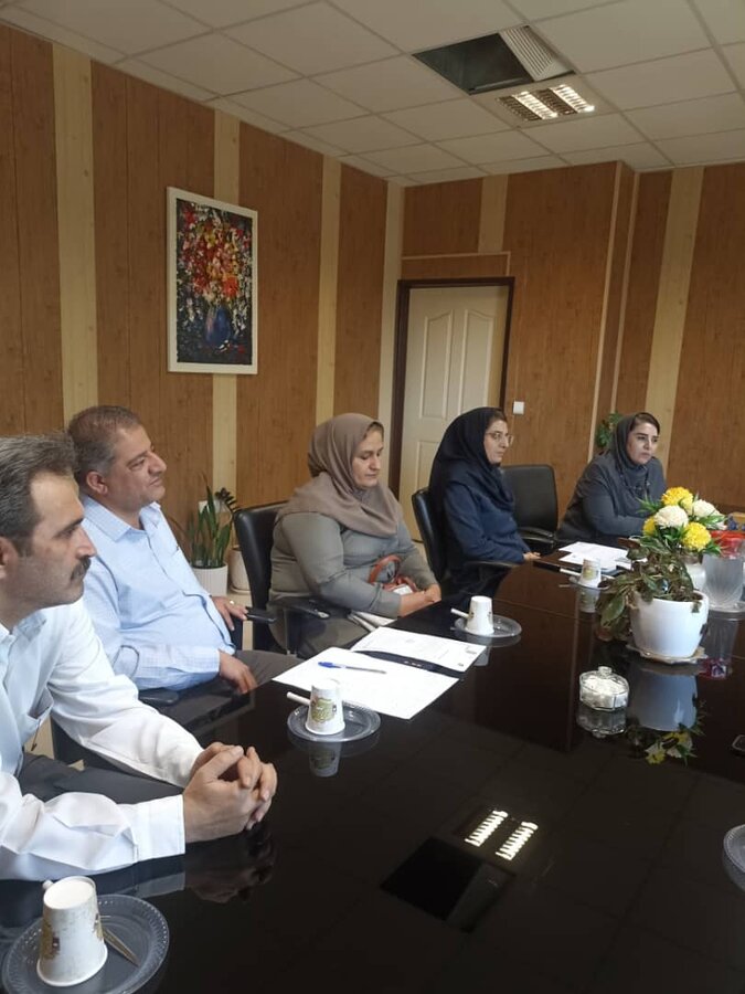 کارگروه مشترک بهزیستی و فنی و حرفه‌ای کردستان برای استانداردسازی مشاغل معلولان برگزار شد