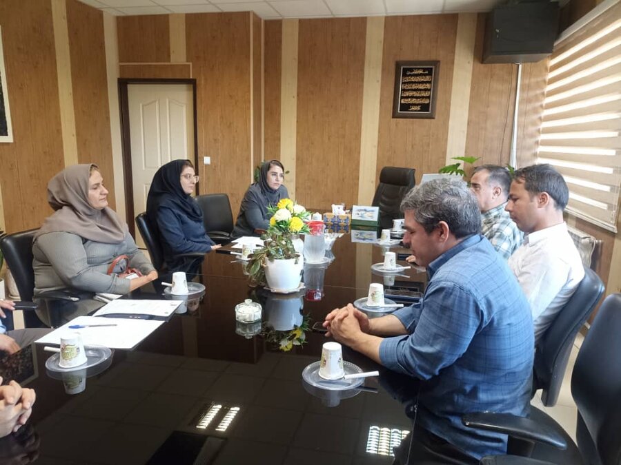 کارگروه مشترک بهزیستی و فنی و حرفه‌ای کردستان برای استانداردسازی مشاغل معلولان برگزار شد