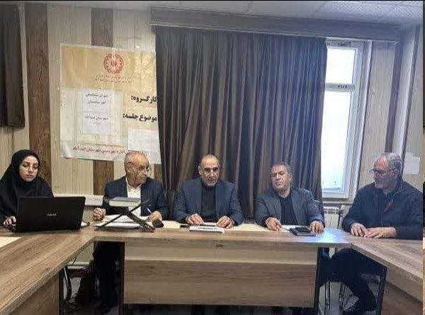 از برگزاری جلسه شورای ساماندهی سالمندان در شهرستان ها تا بازدید از مراکز روزانه سالمندان با همراهی مسئولین استانداری همدان