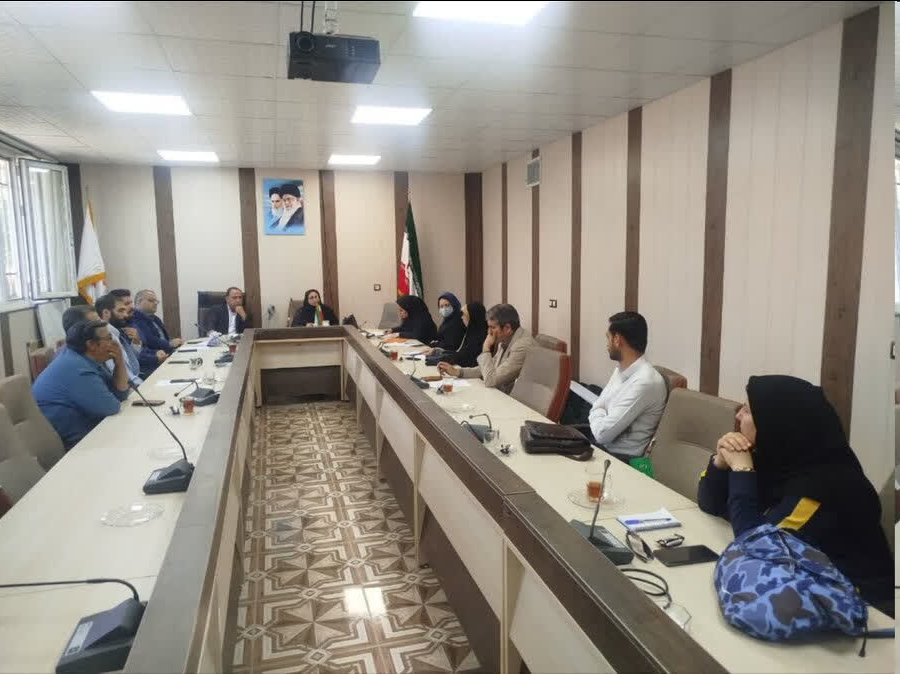 از برگزاری جلسه شورای ساماندهی سالمندان در شهرستان ها تا بازدید از مراکز روزانه سالمندان با همراهی مسئولین استانداری همدان