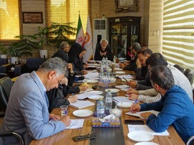 جلسه هماهنگی برگزاری هفته ی بهزیستی با حضور  مدیر کل و شورای معاونین بهزیستی فارس