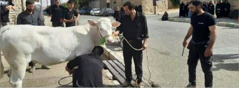 گزارش تصویری| خیرین زنجانی یاریگر مددجویان بهزیستی در تاسوعا و عاشورای حسینی شدند
