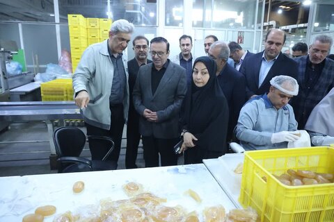 گزارش تصویری | بازدید استاندار قزوین از گروه بهداشتی فیروز در شهر صنعتی البرز