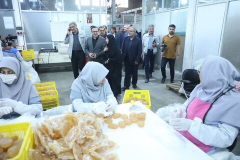 گزارش تصویری | بازدید استاندار قزوین از گروه بهداشتی فیروز در شهر صنعتی البرز