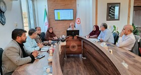 جلسه ی شورای معاونین بهزیستی استان برگزار شد