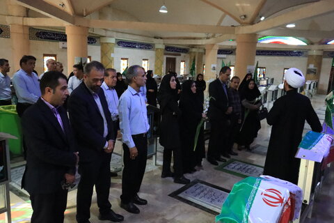 غبارروبی