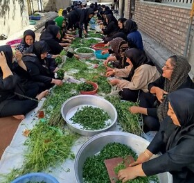 برگزاری آیین پخت آش نذری در مرکز مثبت زندگی شهرستان میاندوآب با مشارکت اهالی محله، در راستای تقویت تاب‌آوری اجتماعی