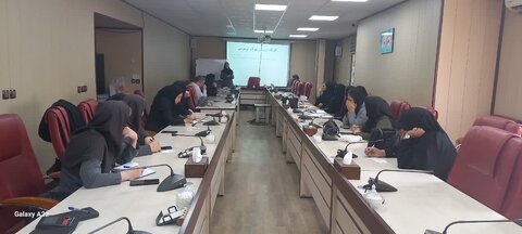 کارگاه توانمندسازی خانواده و آموزش والدین در دوران بلوغ و نوجوانی ویژه پرسنل بهزیستی استان البرز برگزار شد