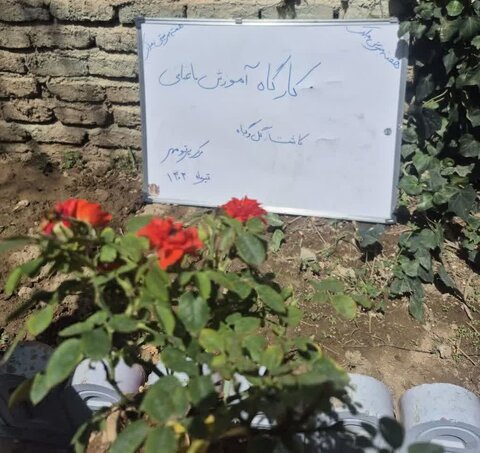 دوره مهارت آموزی باغبانی در مرکز پرتو مهر اجرا شد