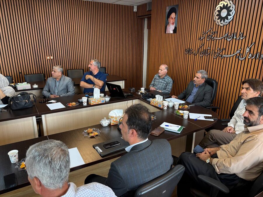 حضور مجازی نمایندگان تشکل‌های غیردولتی بهزیستی کردستان در نشست رئیس سازمان بهزیستی