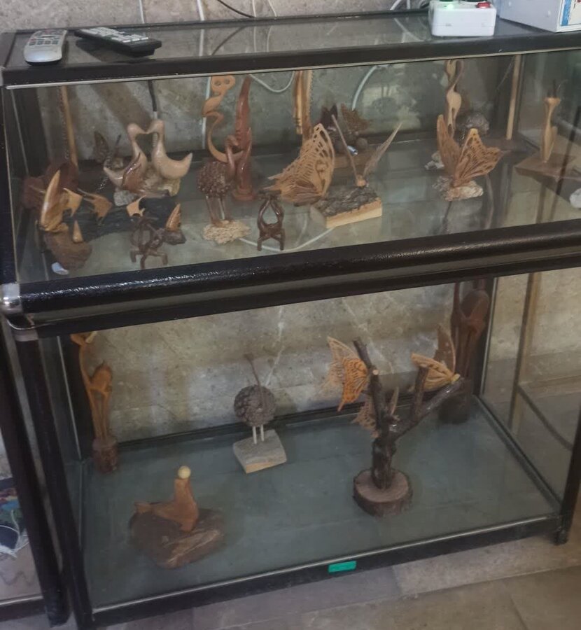 بازدید