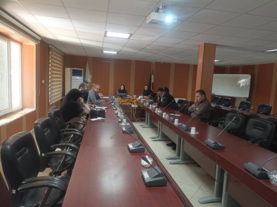 کمیته تخصصی بحران و سالمندی در کردستان برگزار شد