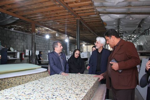 در حاشیه افتتاح همزمان پروژه های بهزیستی انجام شد:بازدید مدیر کل و هئیت همراه از بخش های مختلف شرکت تولید کالای خواب جنوب ابر