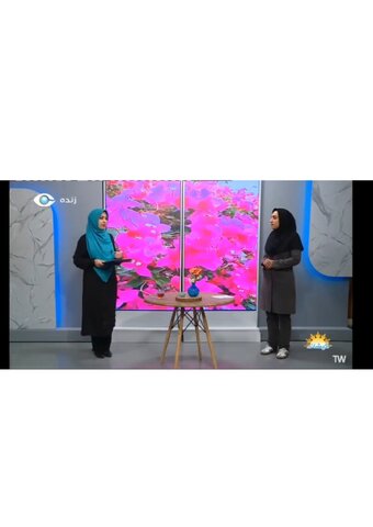 معرفی خدمات تخصصی بهزیستی به مخاطبان جزیره کیش