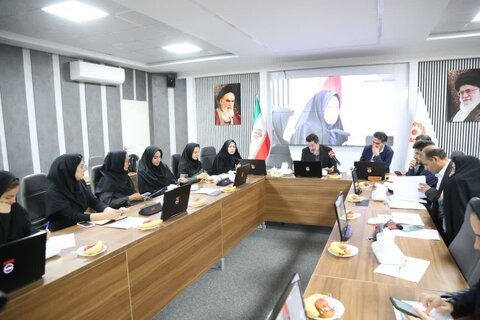 برگزاری چهارمین کارگروه رسانه و فضای مجازی شهر دوستدار سالمند در همدان