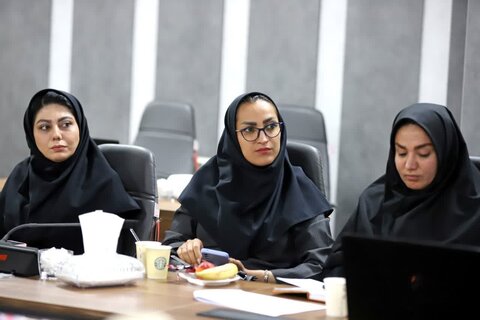 چهارمین کارگروه رسانه و فضای مجازی شهر دوستدار سالمند در همدان