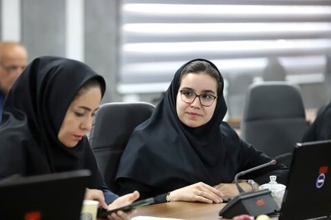 چهارمین کارگروه رسانه و فضای مجازی شهر دوستدار سالمند در همدان