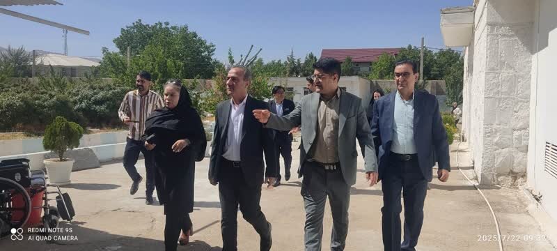 بازدید