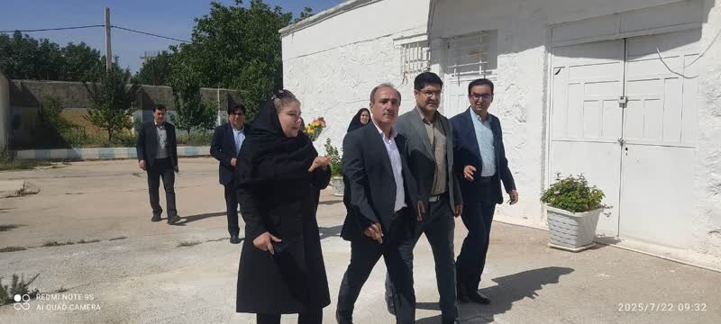 بازدید