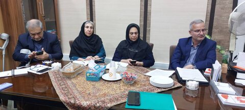 جلسه تدوین گزارش اجرای کنوانسیون حقوق افراد دارای معلولیت