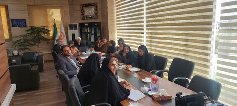چهارمین شورای معاونین بهزیستی فارس