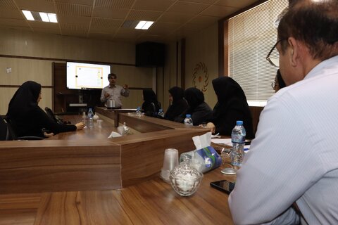 کارگروه مشترک تدوین شایستگی شغلی افراد دارای معلولیت