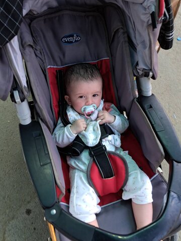 گزارش تصویری| جلوه هایی دیدنی از حضور کودکان در مرز مهران