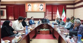 اولین کمیته تخصصی بحران و سالمندی ذیل شورای سالمندان، برگزار شد