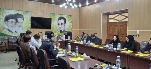 جلسه کارگروه ساماندهی کودکان کار و خیابان