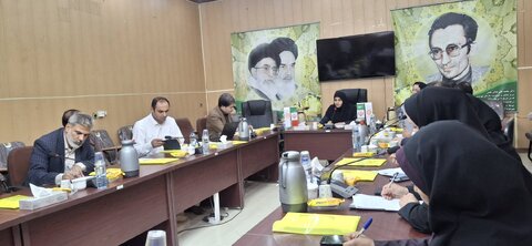 جلسه کارگروه ساماندهی کودکان کار و خیابان