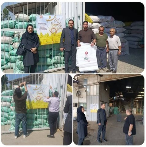 بهزیستی مازندران