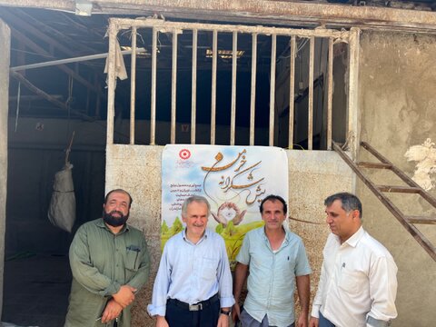 بهزیستی مازندران