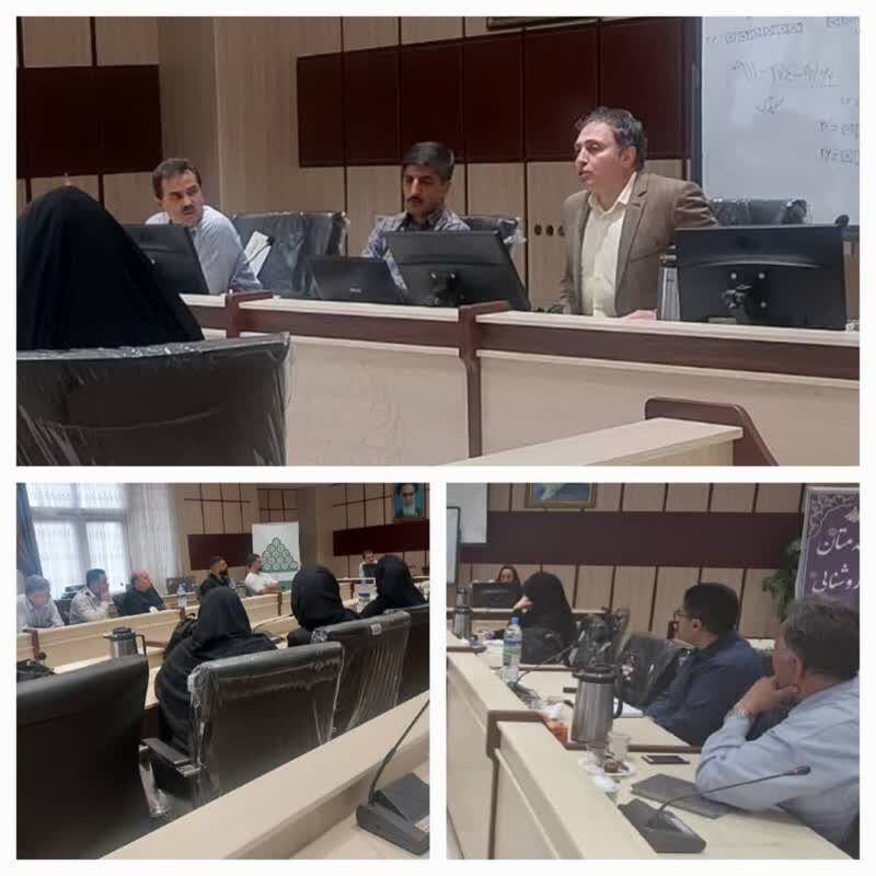 تشریح سیاست‌ها و برنامه‌های بازتوانی اعتیاد در بهزیستی گلستان
