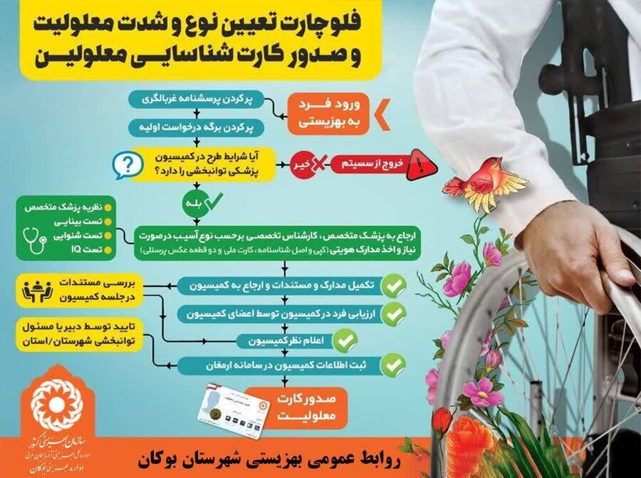 اینفوگرافیک | فلوچارت تعیین نوع و شدت معلولیت