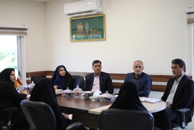 توانمندسازی اقتصادی زنان سرپرست خانوار در اولویت برنامه مشترک بهزیستی و بنیاد کرامت