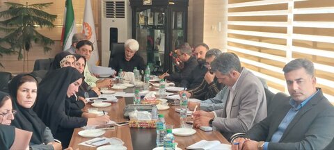 جلسه مدیر کل و شورای معاونین بهزیستیبا روسای  جدید شهرستان های فارس