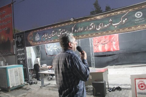 گزارش تصویری