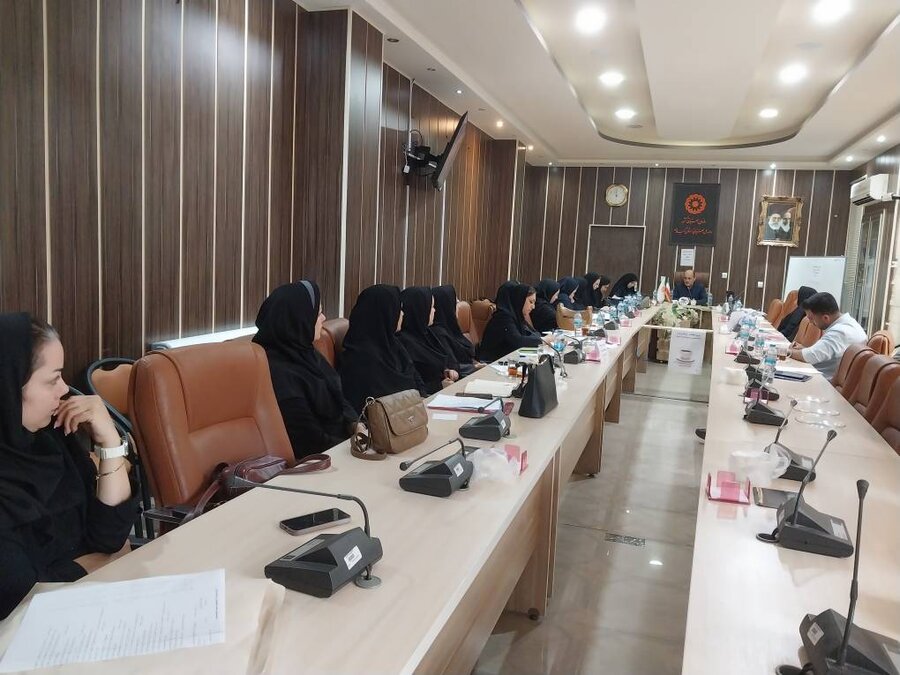 اولین جلسه کارگروه قانون حمایت از حقوق افراد دارای معلولیت برگزار گردید