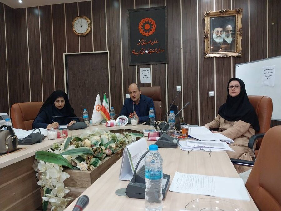 اولین جلسه کارگروه قانون حمایت از حقوق افراد دارای معلولیت برگزار گردید