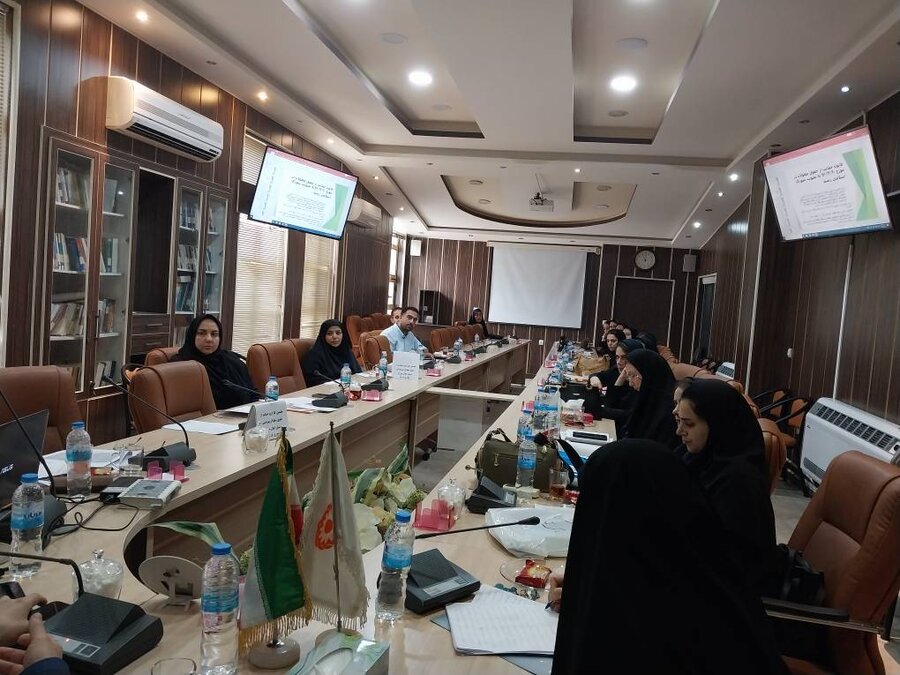 اولین جلسه کارگروه قانون حمایت از حقوق افراد دارای معلولیت برگزار گردید