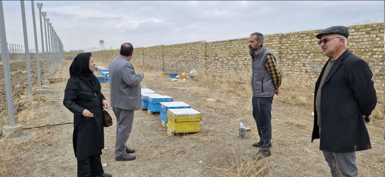 تلاش های سازنده مرتضی حیدری در راستای توسعه مشارکت های مردمی، اشتغال، مسکن و مراکز غیردولتی در بهزیستی همدان