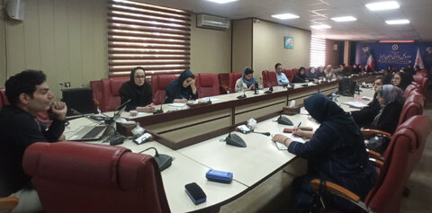 آموزش به گروه هدف سازمان آموزش مهارت حل مسئله ویژه روانشناسان و تسهیلگران مراکز مثبت زندگی