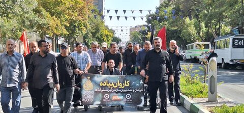 در آستانه شهادت امام رئوف؛ کاروان پیاده بهزیستی به سمت حرم امام رضا (ع) حرکت کرد
