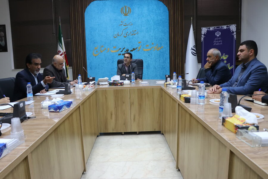 تشکیل دبیرخانه پیشگیری و کنترل پدیده خودکشی در استان کرمان