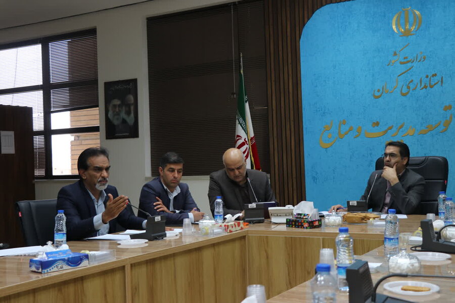 تشکیل دبیرخانه پیشگیری و کنترل پدیده خودکشی در استان کرمان