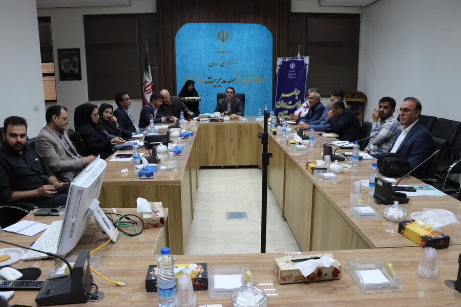 تشکیل دبیرخانه پیشگیری و کنترل پدیده خودکشی در استان کرمان
