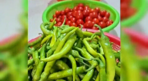 توزیع غذا توسط مرکز رعد تحت نظارت اداره بهزیستی شهرستان طالقان