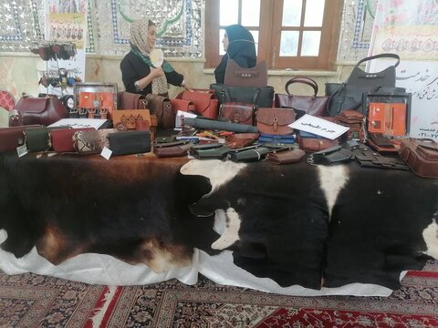 رویداد جهادی زنان و سلامت خانواده در منطقه امام‌زاده حسن؛ خدمات بهزیستی به مناسبت هفته دولت