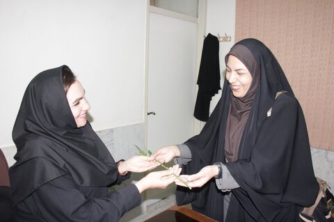 گزارش تصویری|